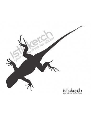 Gecko Gecko 14