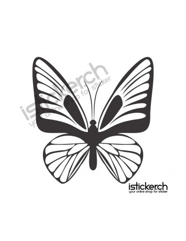 Schmetterlinge Schmetterling 12
