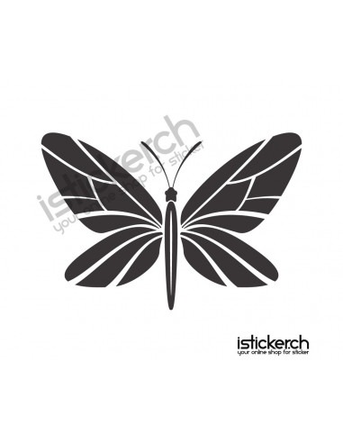 Schmetterlinge Schmetterling 26
