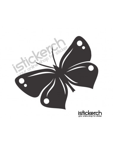 Schmetterlinge Schmetterling 57