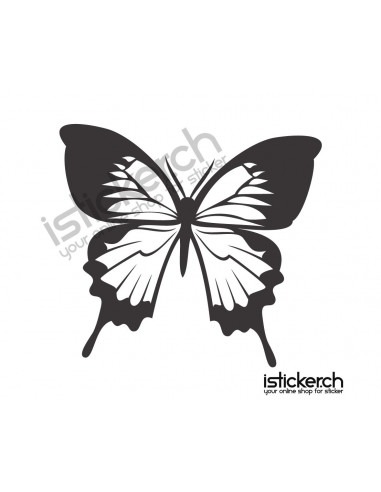 Schmetterlinge Schmetterling 59